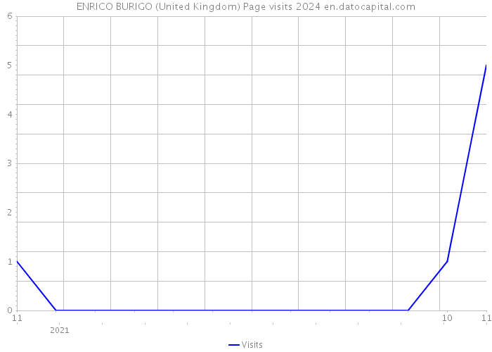 ENRICO BURIGO (United Kingdom) Page visits 2024 