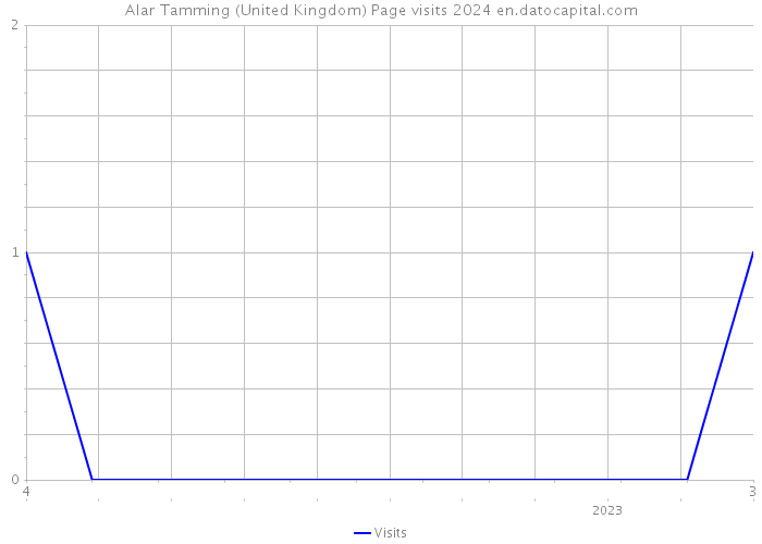 Alar Tamming (United Kingdom) Page visits 2024 