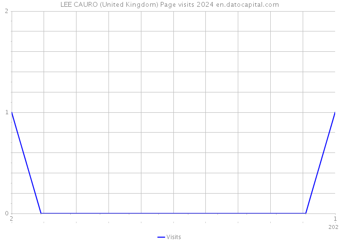 LEE CAURO (United Kingdom) Page visits 2024 