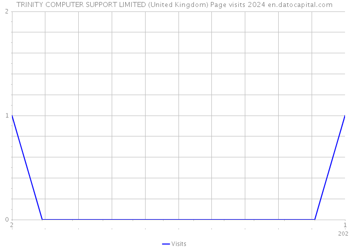 TRINITY COMPUTER SUPPORT LIMITED (United Kingdom) Page visits 2024 