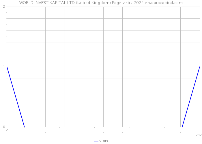 WORLD INVEST KAPITAL LTD (United Kingdom) Page visits 2024 