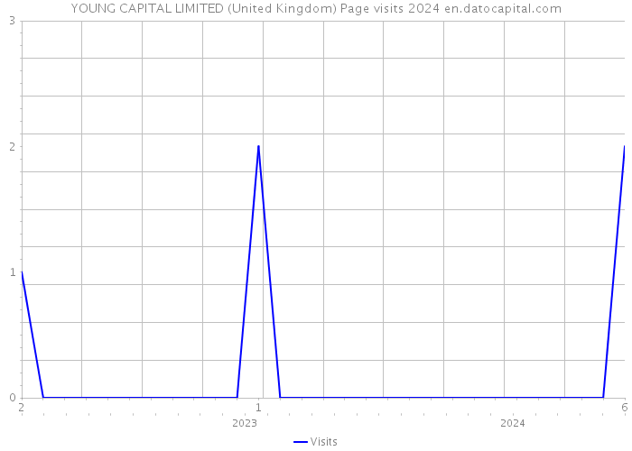 YOUNG CAPITAL LIMITED (United Kingdom) Page visits 2024 