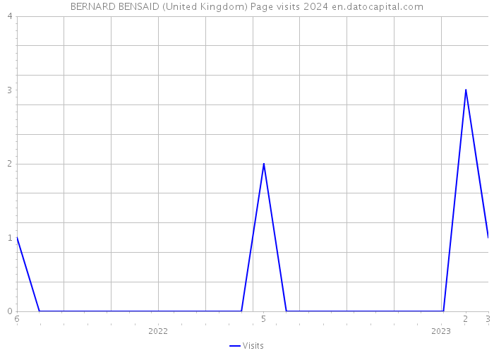 BERNARD BENSAID (United Kingdom) Page visits 2024 