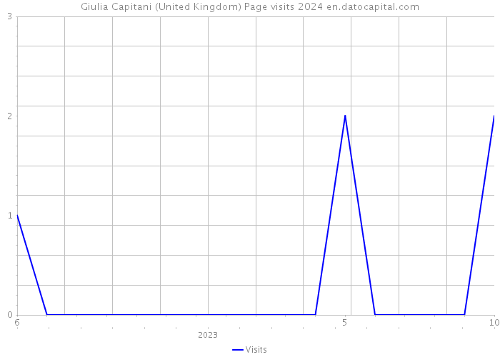 Giulia Capitani (United Kingdom) Page visits 2024 