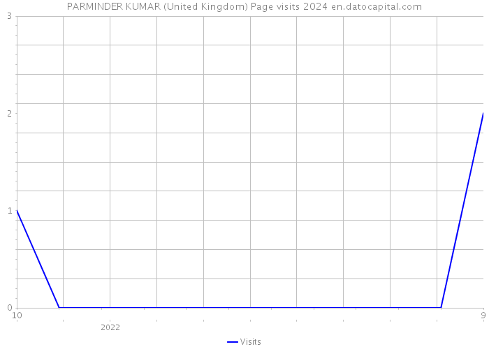 PARMINDER KUMAR (United Kingdom) Page visits 2024 