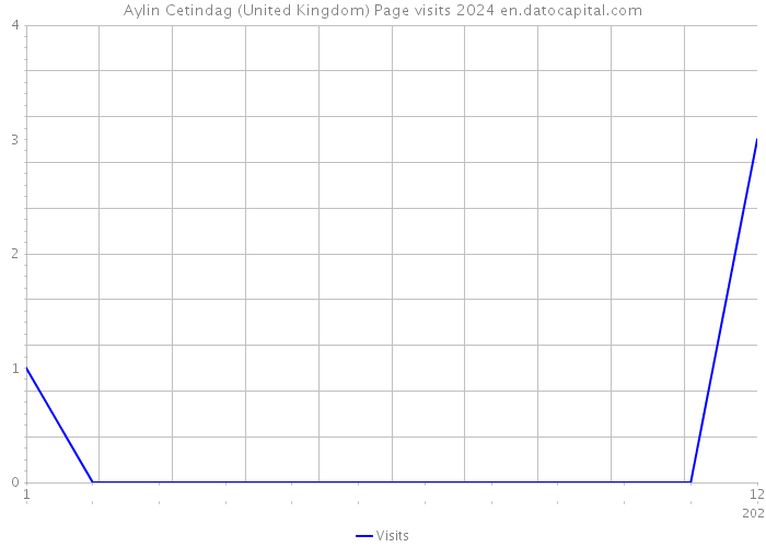 Aylin Cetindag (United Kingdom) Page visits 2024 
