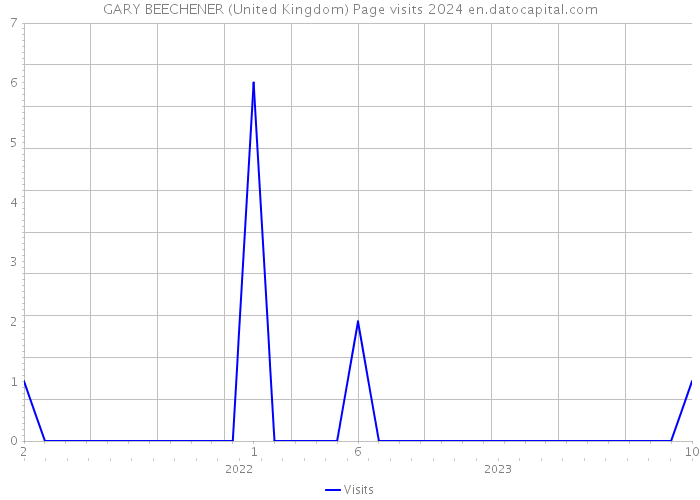 GARY BEECHENER (United Kingdom) Page visits 2024 