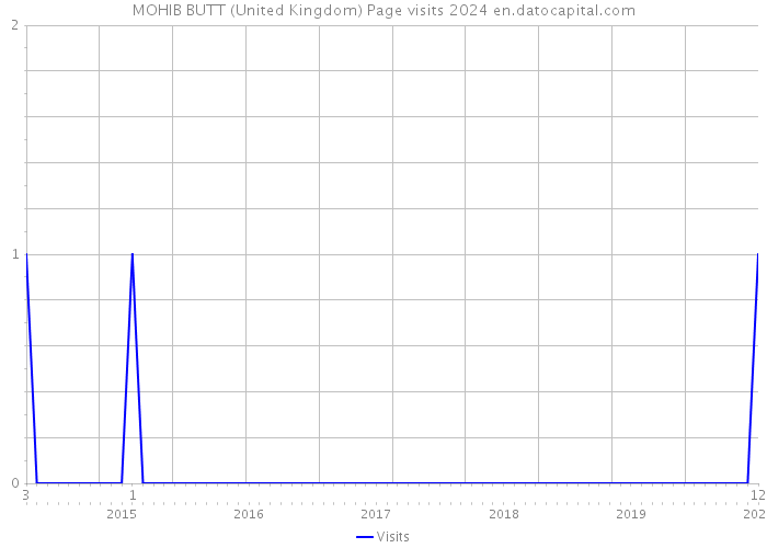 MOHIB BUTT (United Kingdom) Page visits 2024 