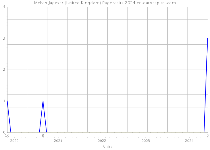 Melvin Jagesar (United Kingdom) Page visits 2024 