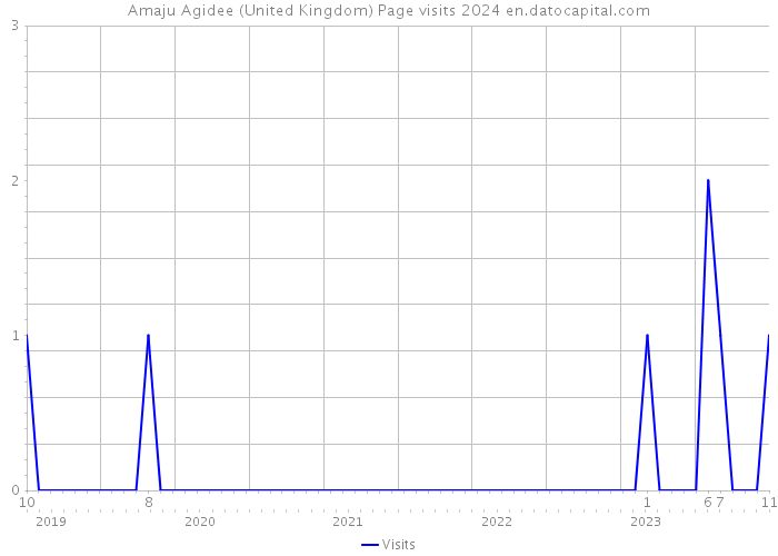 Amaju Agidee (United Kingdom) Page visits 2024 