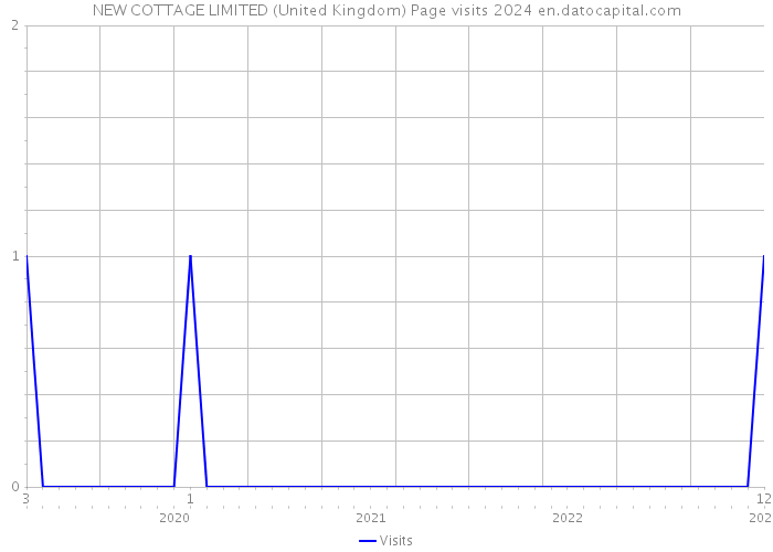 NEW COTTAGE LIMITED (United Kingdom) Page visits 2024 