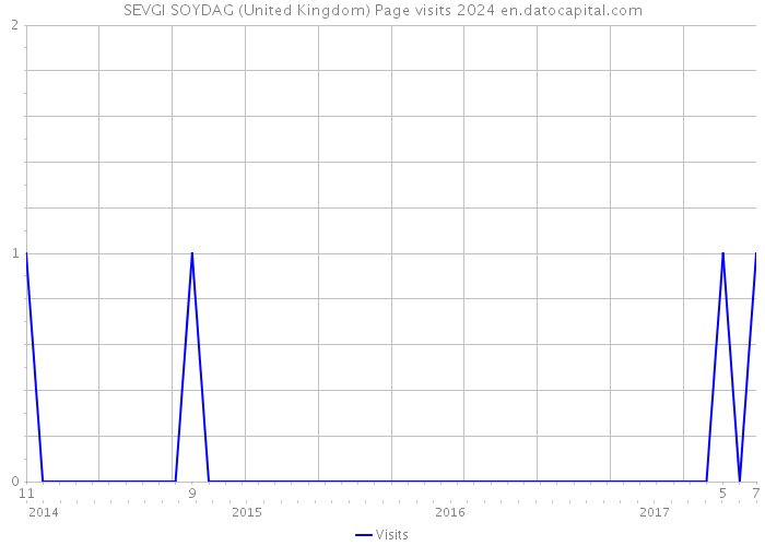SEVGI SOYDAG (United Kingdom) Page visits 2024 