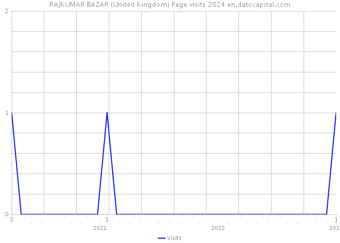 RAJKUMAR BAZAR (United Kingdom) Page visits 2024 