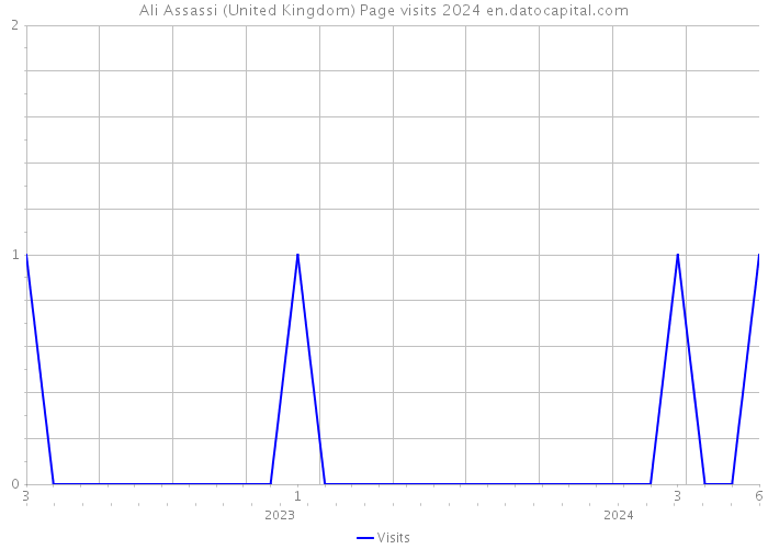 Ali Assassi (United Kingdom) Page visits 2024 