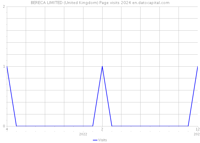 BERECA LIMITED (United Kingdom) Page visits 2024 