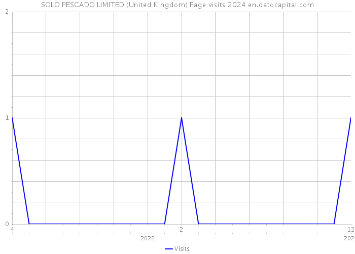 SOLO PESCADO LIMITED (United Kingdom) Page visits 2024 