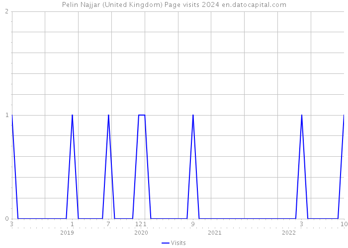 Pelin Najjar (United Kingdom) Page visits 2024 