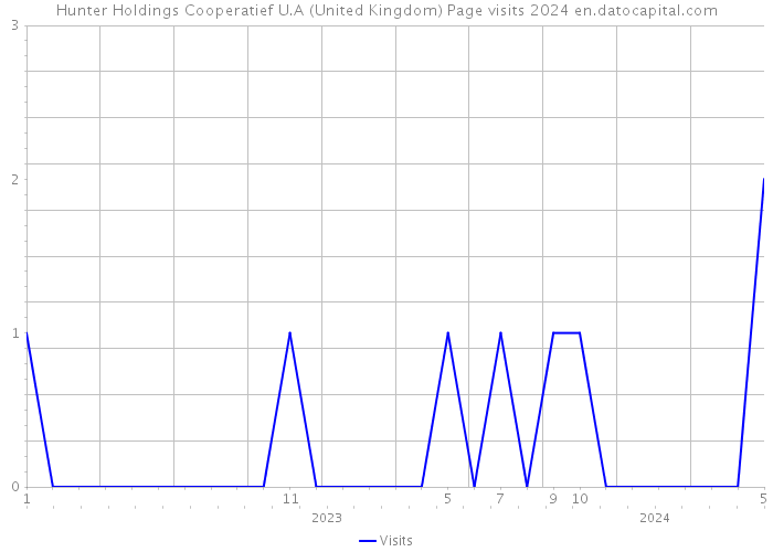Hunter Holdings Cooperatief U.A (United Kingdom) Page visits 2024 