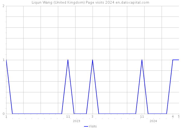 Liqun Wang (United Kingdom) Page visits 2024 