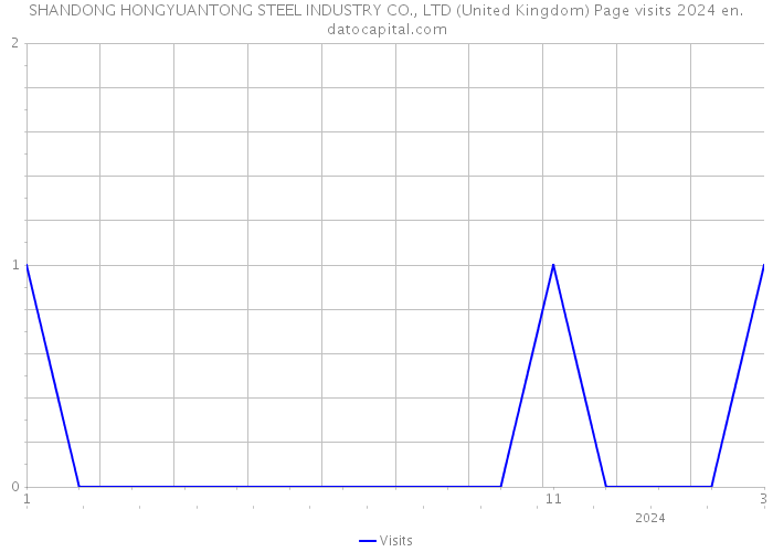 SHANDONG HONGYUANTONG STEEL INDUSTRY CO., LTD (United Kingdom) Page visits 2024 