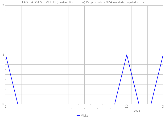 TASH AGNES LIMITED (United Kingdom) Page visits 2024 