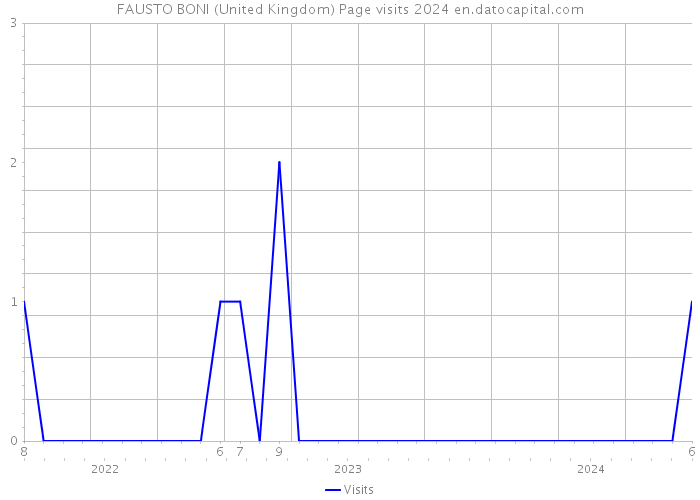 FAUSTO BONI (United Kingdom) Page visits 2024 