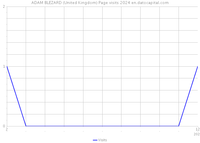 ADAM BLEZARD (United Kingdom) Page visits 2024 