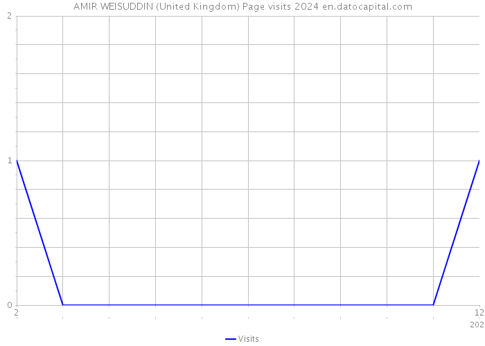 AMIR WEISUDDIN (United Kingdom) Page visits 2024 