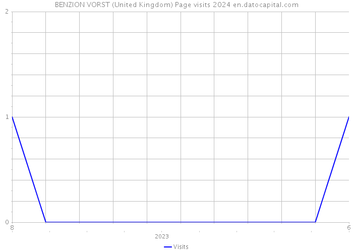 BENZION VORST (United Kingdom) Page visits 2024 