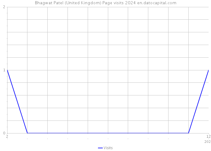 Bhagwat Patel (United Kingdom) Page visits 2024 
