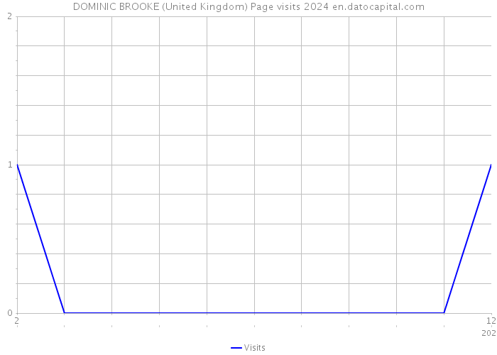 DOMINIC BROOKE (United Kingdom) Page visits 2024 