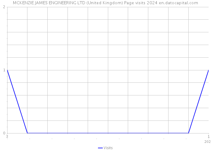 MCKENZIE JAMES ENGINEERING LTD (United Kingdom) Page visits 2024 
