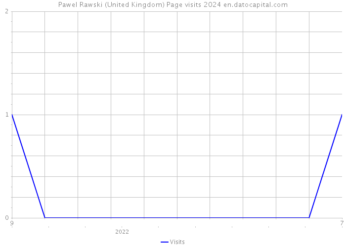 Pawel Rawski (United Kingdom) Page visits 2024 
