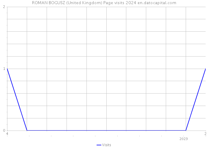 ROMAN BOGUSZ (United Kingdom) Page visits 2024 