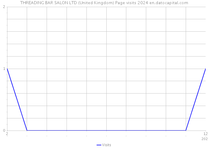 THREADING BAR SALON LTD (United Kingdom) Page visits 2024 