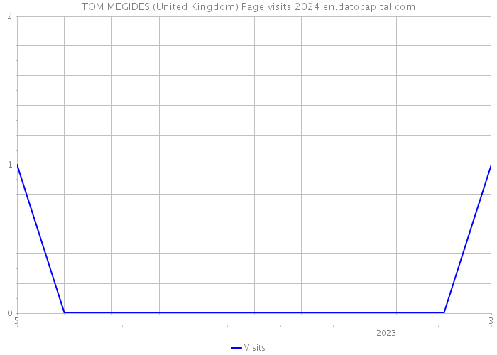 TOM MEGIDES (United Kingdom) Page visits 2024 