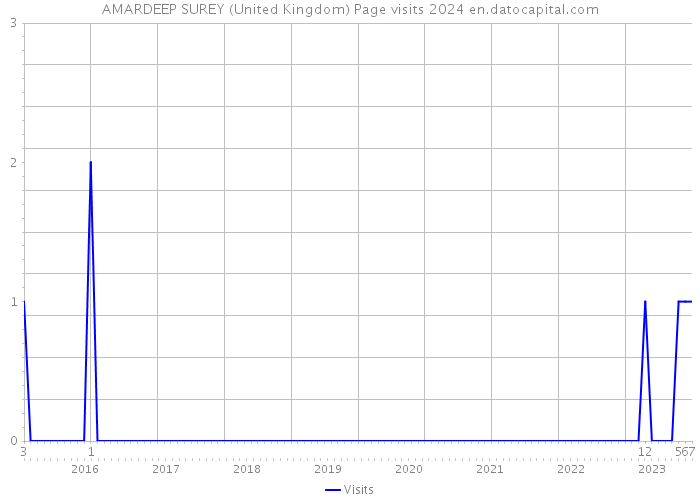 AMARDEEP SUREY (United Kingdom) Page visits 2024 