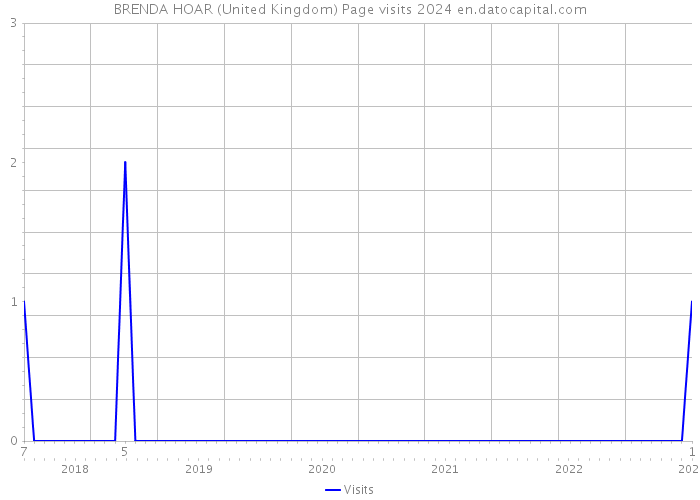 BRENDA HOAR (United Kingdom) Page visits 2024 