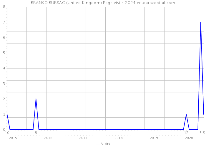 BRANKO BURSAC (United Kingdom) Page visits 2024 
