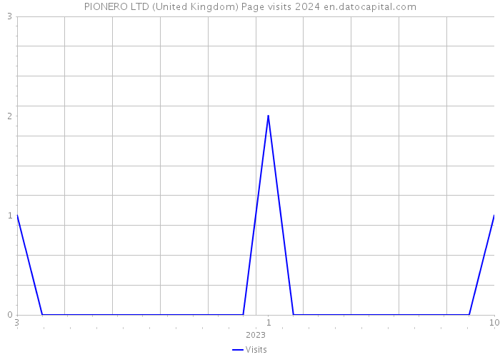 PIONERO LTD (United Kingdom) Page visits 2024 
