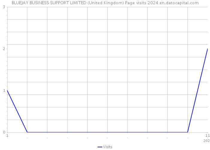BLUEJAY BUSINESS SUPPORT LIMITED (United Kingdom) Page visits 2024 