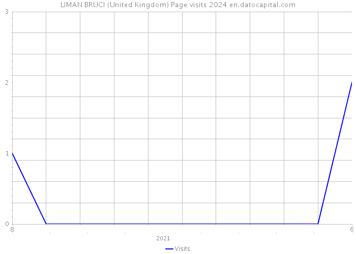 LIMAN BRUCI (United Kingdom) Page visits 2024 