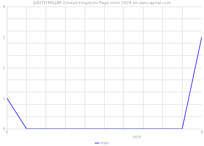 JUDITH MILLER (United Kingdom) Page visits 2024 