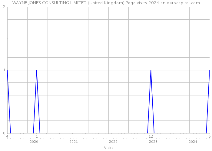 WAYNE JONES CONSULTING LIMITED (United Kingdom) Page visits 2024 