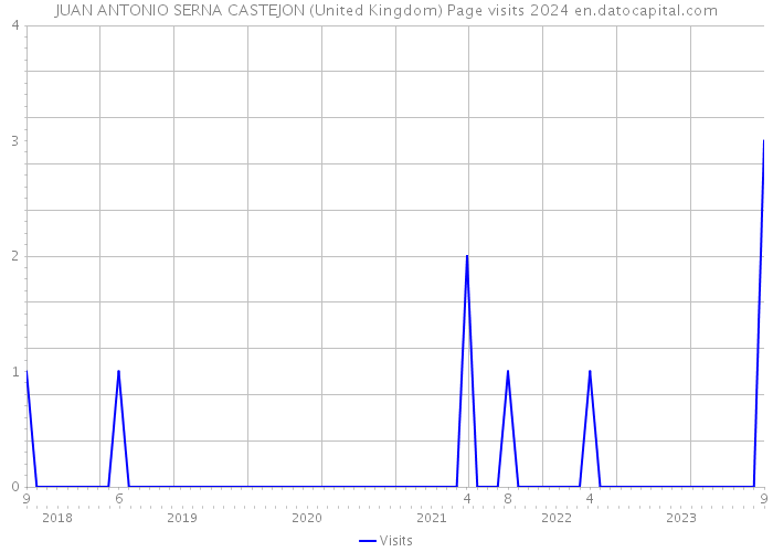 JUAN ANTONIO SERNA CASTEJON (United Kingdom) Page visits 2024 