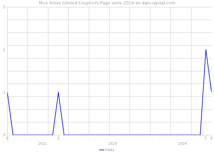 Moe Anise (United Kingdom) Page visits 2024 