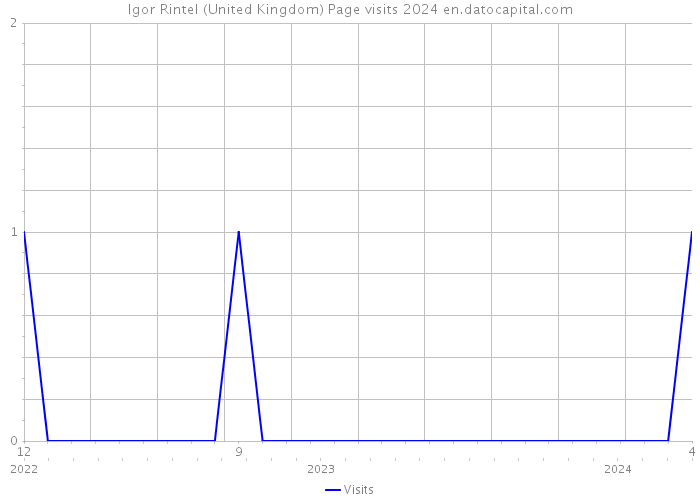 Igor Rintel (United Kingdom) Page visits 2024 