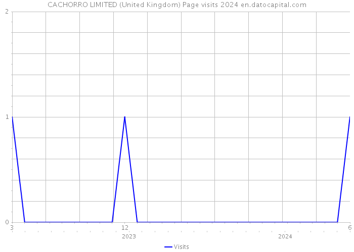 CACHORRO LIMITED (United Kingdom) Page visits 2024 
