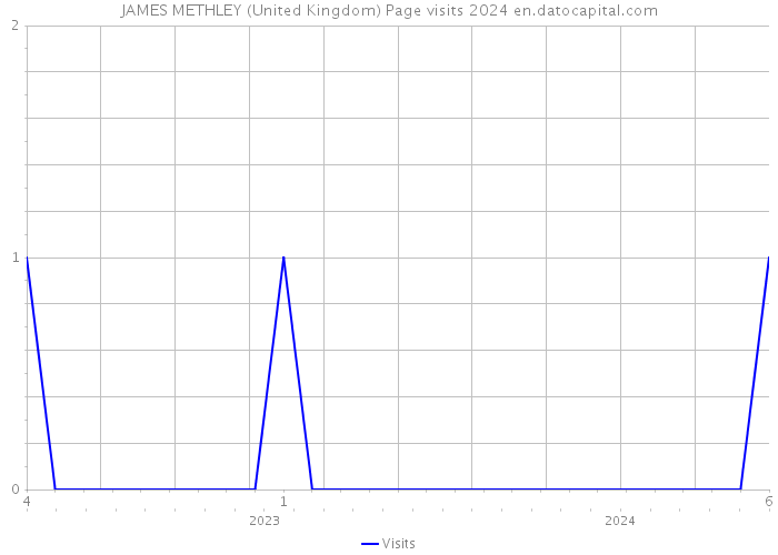 JAMES METHLEY (United Kingdom) Page visits 2024 