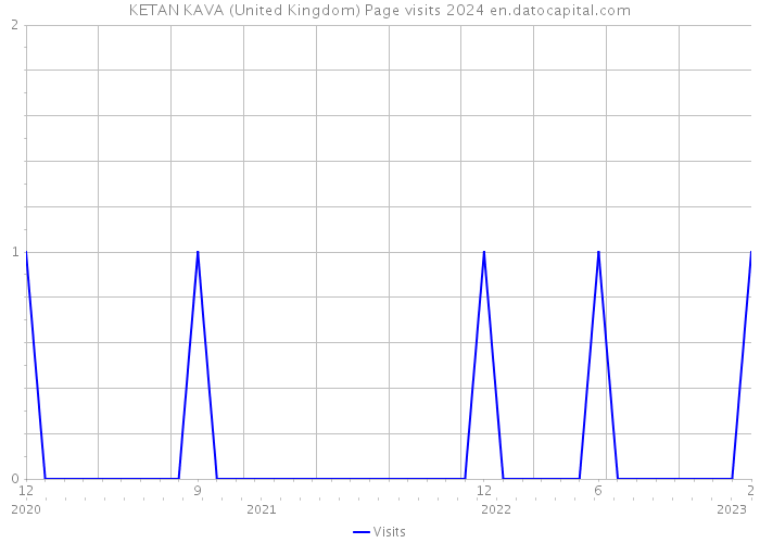 KETAN KAVA (United Kingdom) Page visits 2024 